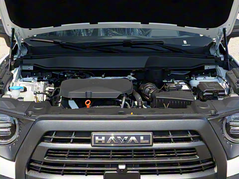 2024�� 2.0T DCT�л���԰Ȯ��