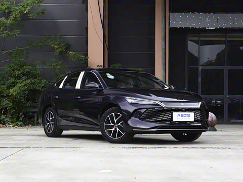 2024�� DM-i 120KM��Խ��