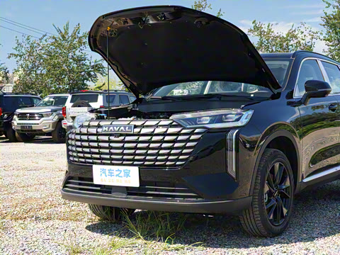 2024�� 1.5T ����Max