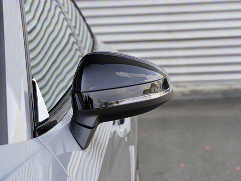 2024�� RS 5 2.9T Sportback ȼ���