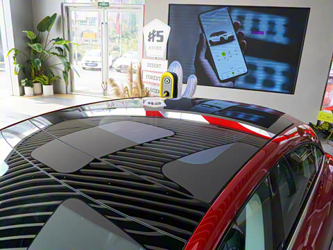 2024�� �Ͷ���������