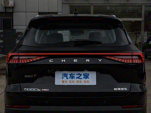 2025�� 390T ���������