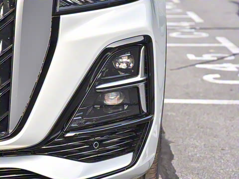 2025�� 2.0T ��������Pro��