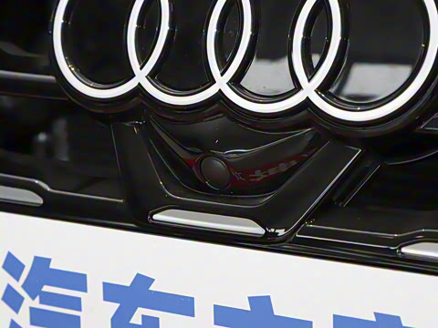 2025�� A3L Limousine 35TFSI �ɳ������� +������ѡ��