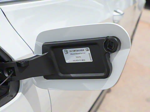 2025�� �Ŀ�� 300TSI R-Line