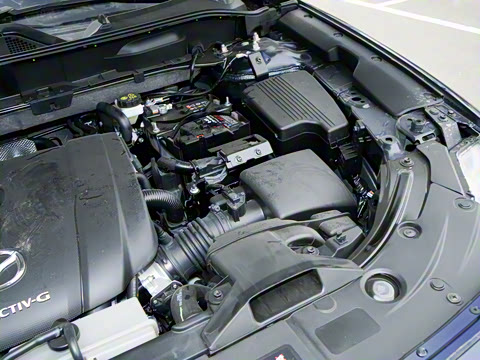 2025�� 2.0L �Զ�����������