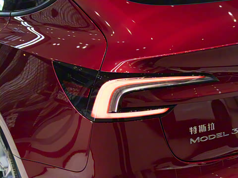 2025�� ����������