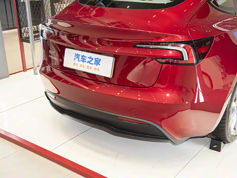 2025�� ����������