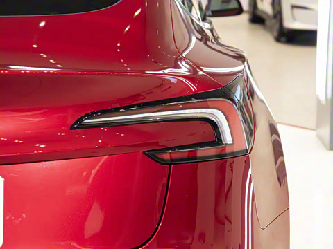 2025�� ����������