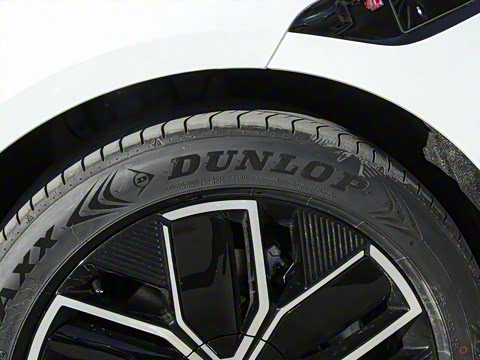 2025�� Max�����