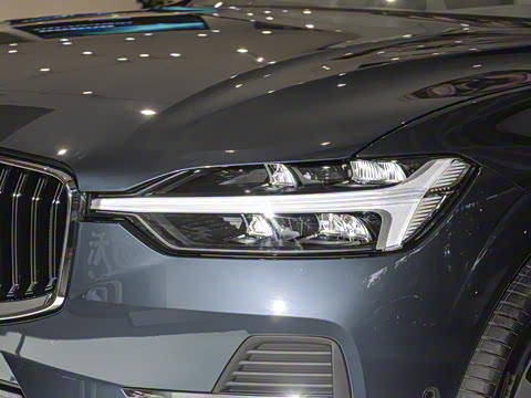 2025�� ���ʽ�춯 ������������Զ������