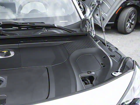 2026�� �鶯��������