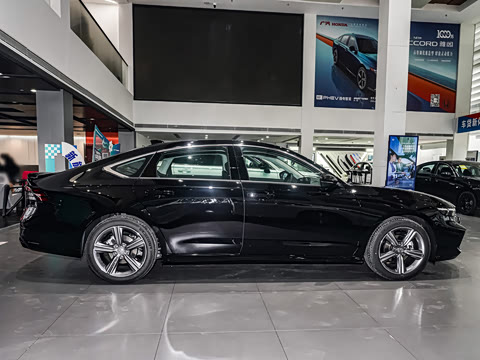 2025�� �˶�ϵ�� 260TURBO ����