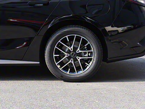 2025�� DM-i 1.5L 70km ��Ӣ��