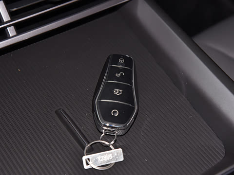 2025�� DM-i 1.5L 70km ��Ӣ��