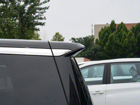 2024�� ���� ��������ԭ�� ����