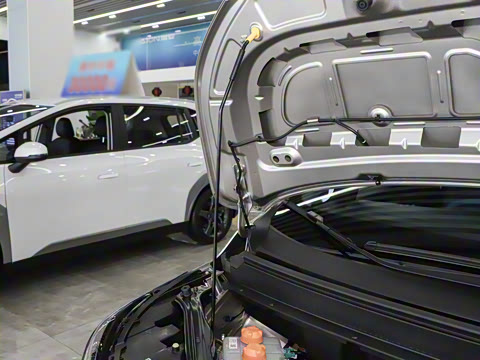 2024�� Younger ��ҫ��