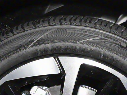 2024�� Younger ��ҫ��