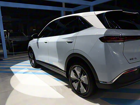 2025�� 565km ������