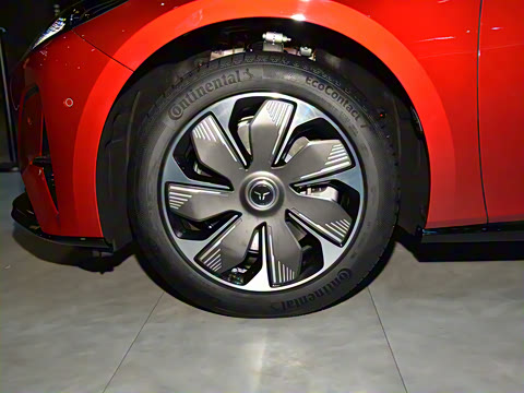 2025�� 550��ѡ��