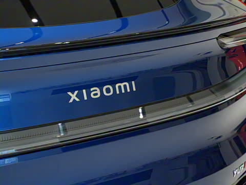 2025�� ������������������Max��