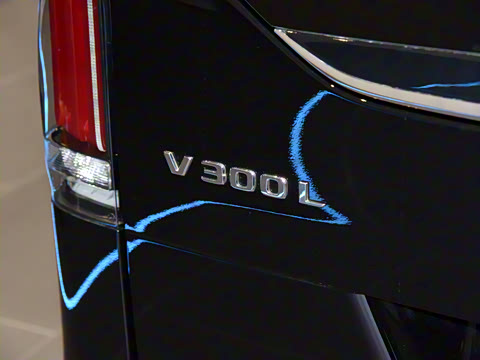 2024�� V 300 L ����������