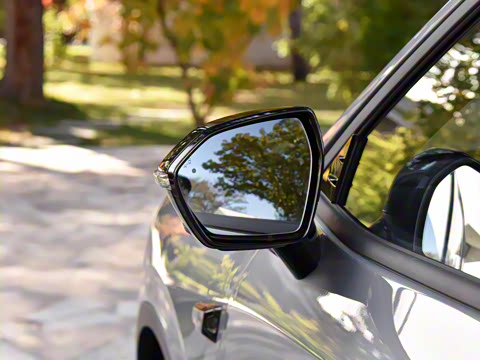 2025�� ������PLUS