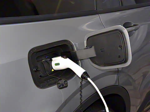 2025�� ������PLUS