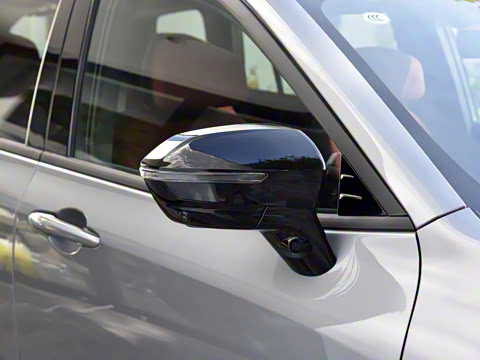 2025�� ������PLUS