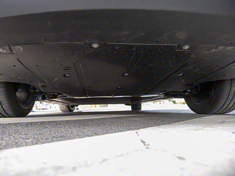 2025�� 502 ������ Max