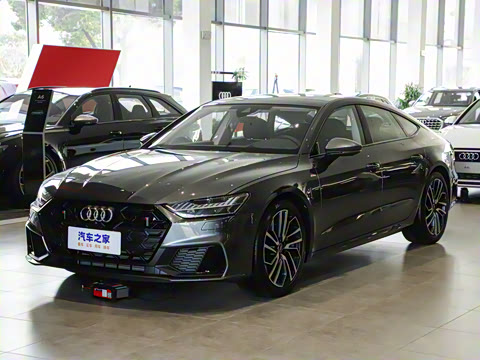 2025�� 45 TFSI ��ѡ��