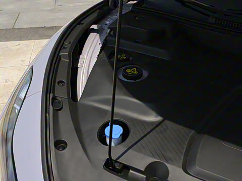 2025�� 502 ������ Max