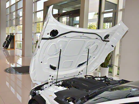 2024�� P300 75�����س����