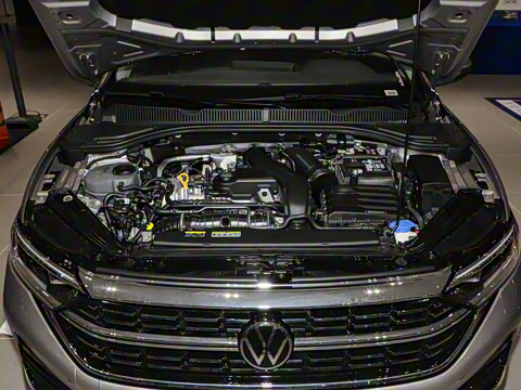 2025�� 300TSI DSG��Խ��