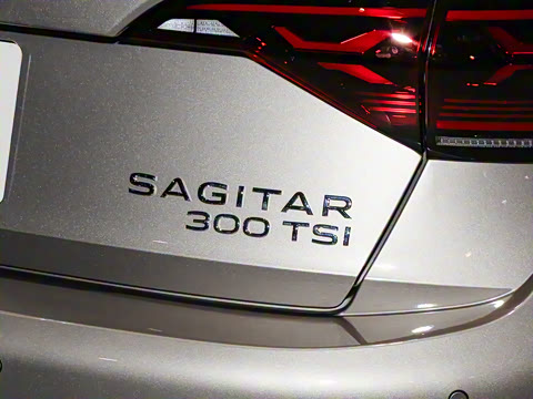 2025�� 300TSI DSG��Խ��