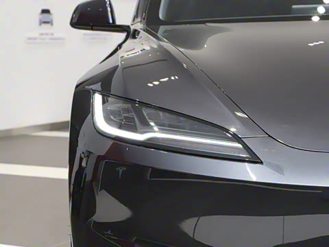 2025�� ����������