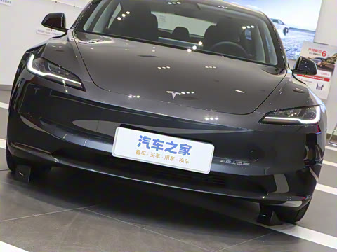 2025�� ����������