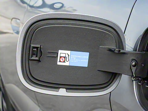 2025�� DM-i 170�캽Pro��