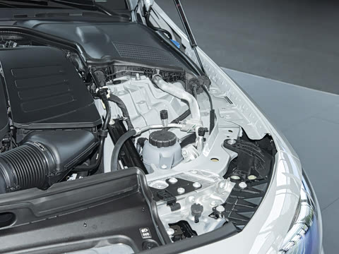 2025�� CLE 300 4MATIC �����ͽ��ܳ�