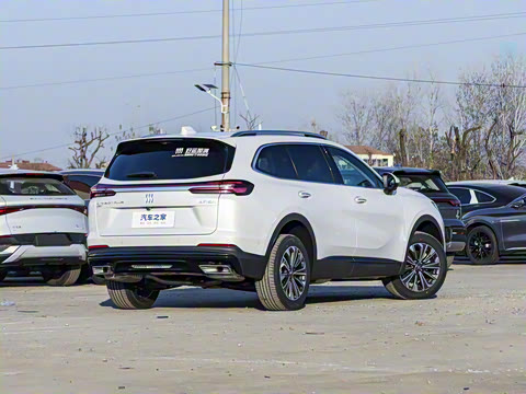 2025�� ������Plus 28T �����׽��