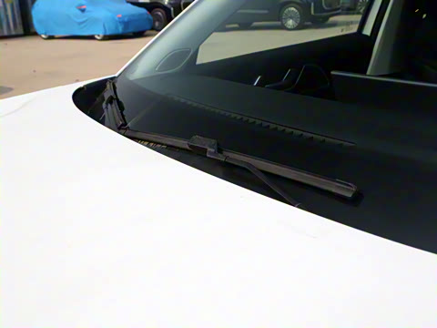 2024�� 120 �������������� 5�� �������