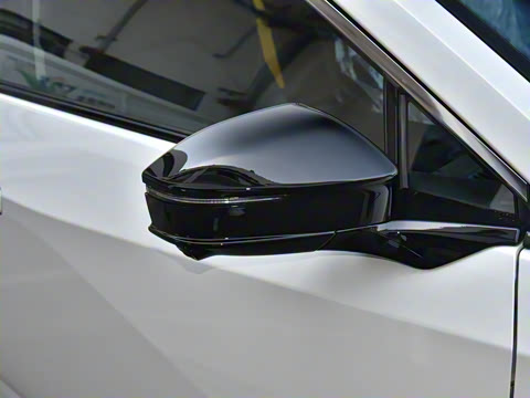 2025�� 550 PRO���а�