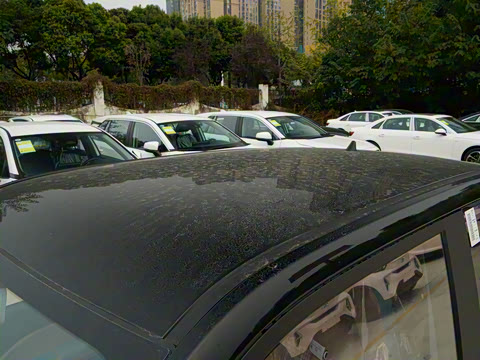 2025�� 155km ʥ����