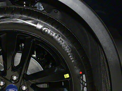 2025�� 2.0T EcoBoost E �춯 �˶���