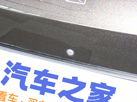 2024�� Max�����