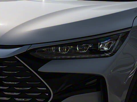 2025�� �Ǽݰ� DM-i 115KM �콢��