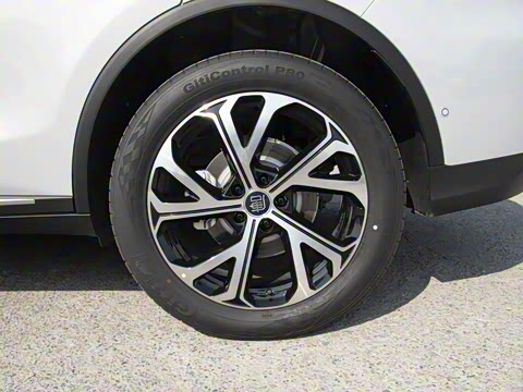 2025�� �Ǽݰ� DM-i 115KM �콢��