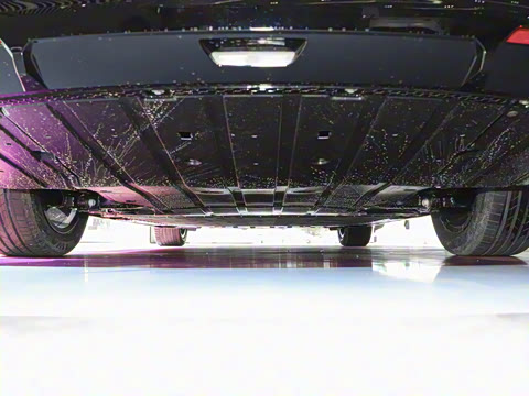 2025�� 520�Ǻ���