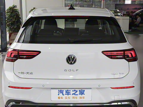 2025�� �Ŀ� 300TSI Pro