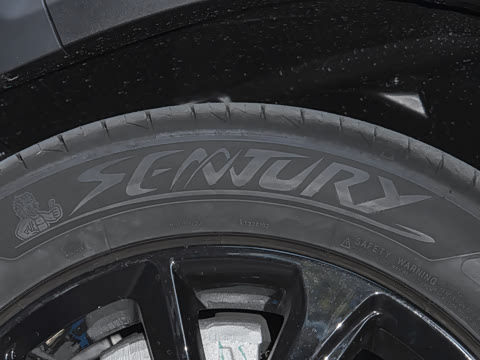 2024�� 520 ������